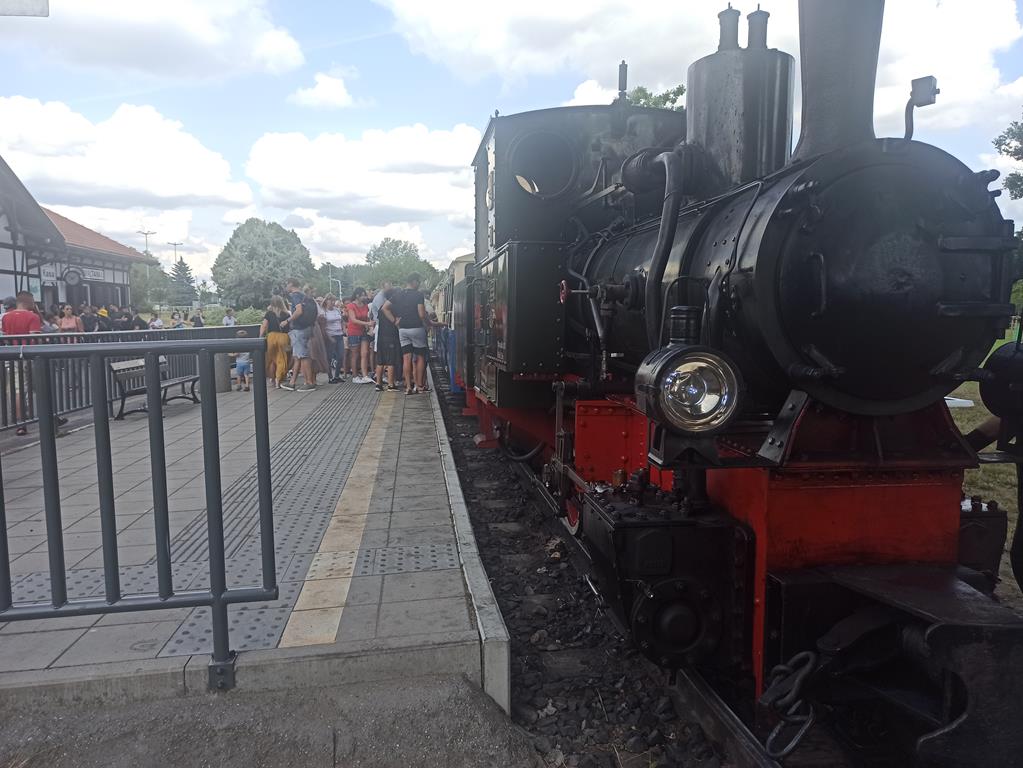 Borsg Bn2t maltanka - Bartosz Garczyński