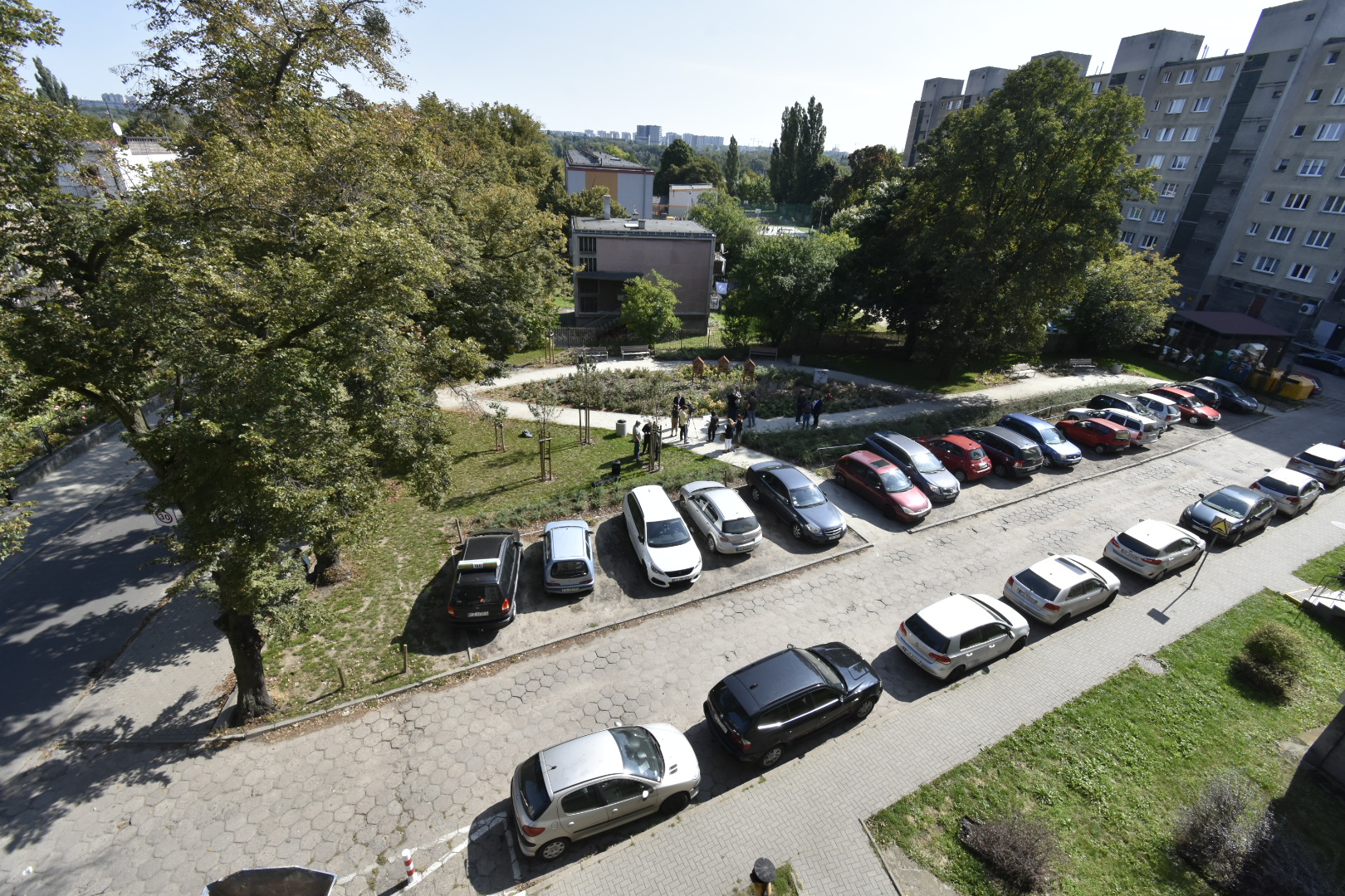 Władze Poznania odrzucają oskarżenia o "betonowanie" miasta - Wojtek Wardejn