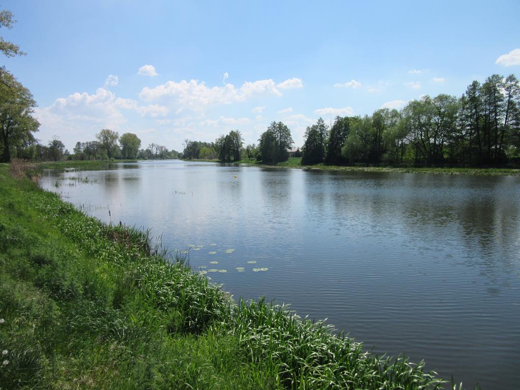 rzeka prosna kalisz - Peżot - Wikipedia/CC BY-SA 4.0