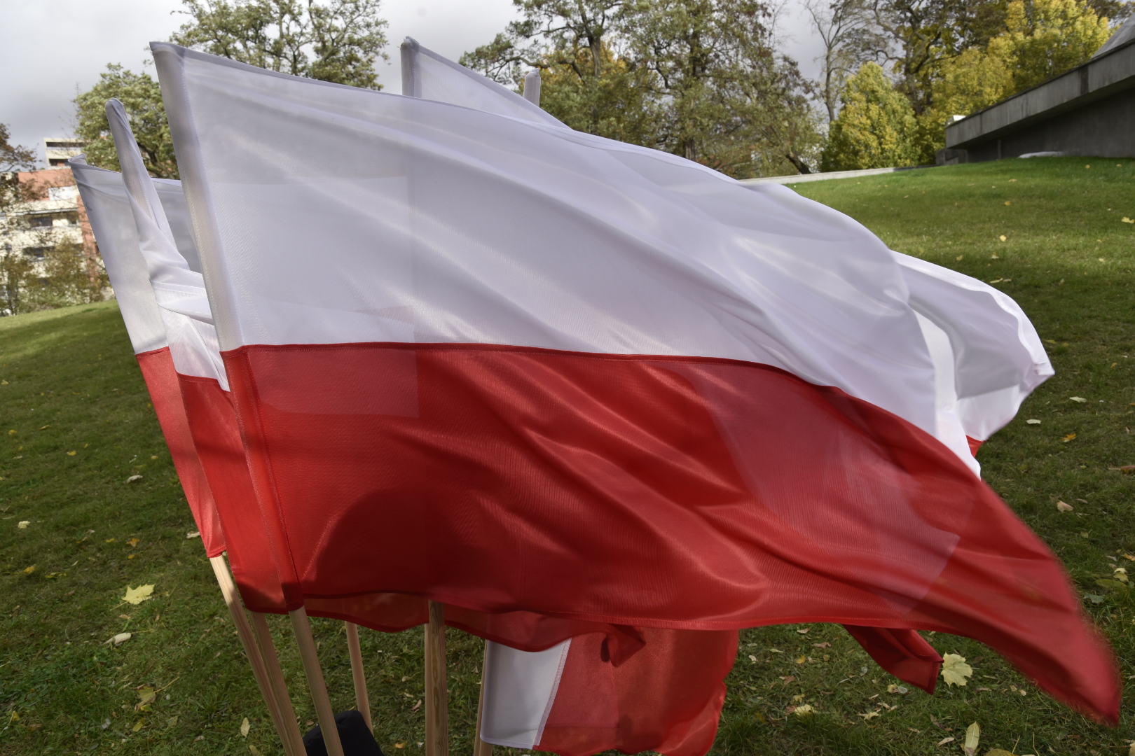 flaga flagi - Wojtek Wardejn - Radio Poznań