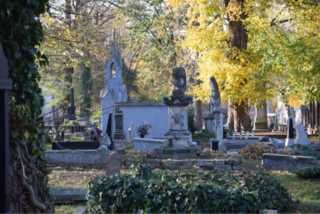 stary cmentarz ostrów  - Danuta Synkiewicz 