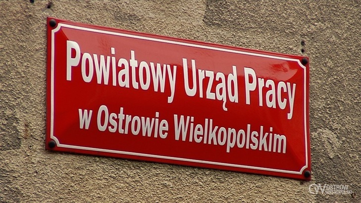 powiatowy urząd pracy ostrów wielkopolski - UM Ostrów Wlkp