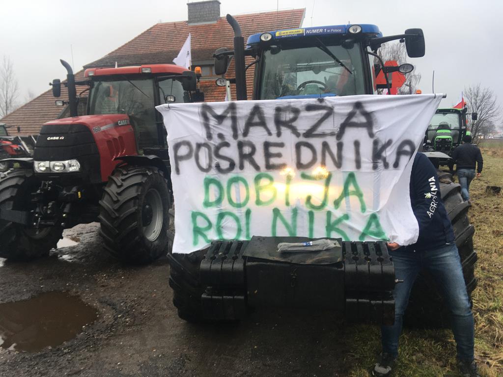 Rafał Regulski