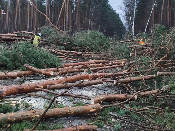 straż pożarna wichura połamane drzewa  - Dawid Makosz