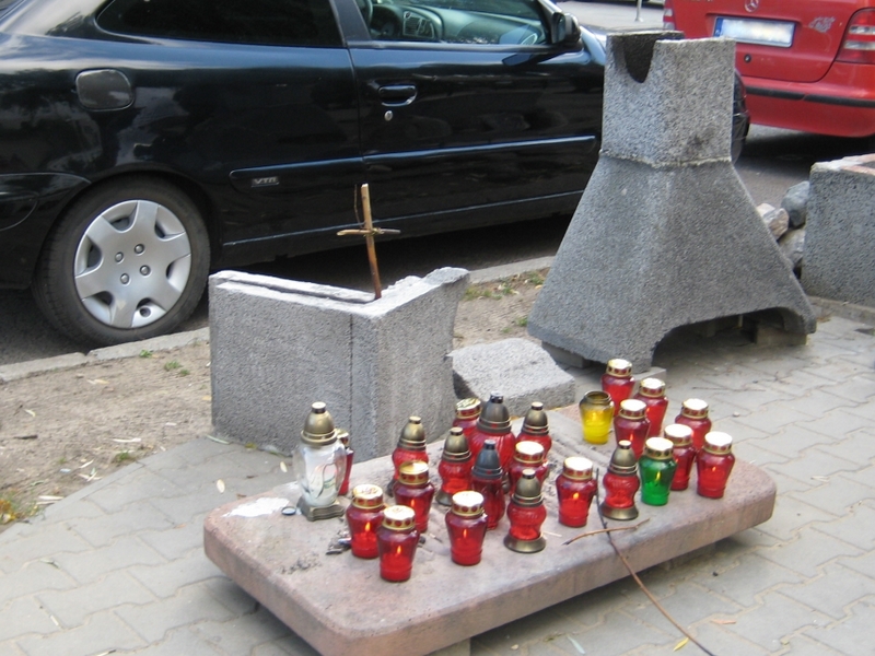 Likwidacja grillowiska AWF - Anna Skoczek