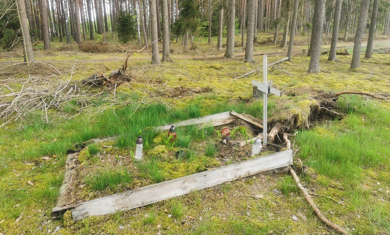 Masowy grób z czasów II wojny światowej znaleziony w lesie w pobliżu Niekurska - POMOST