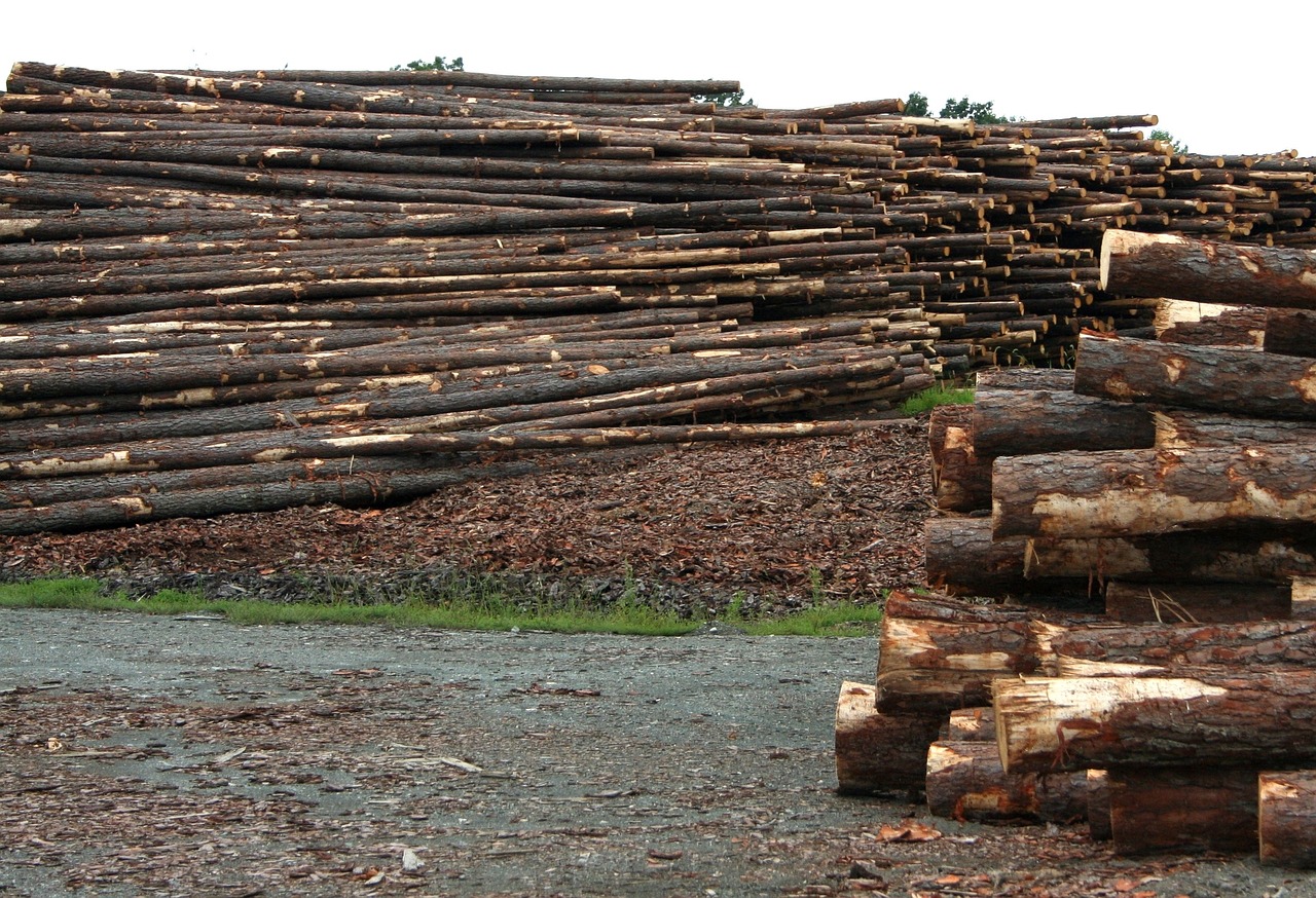 tartak drewno drzewo - Pixabay
