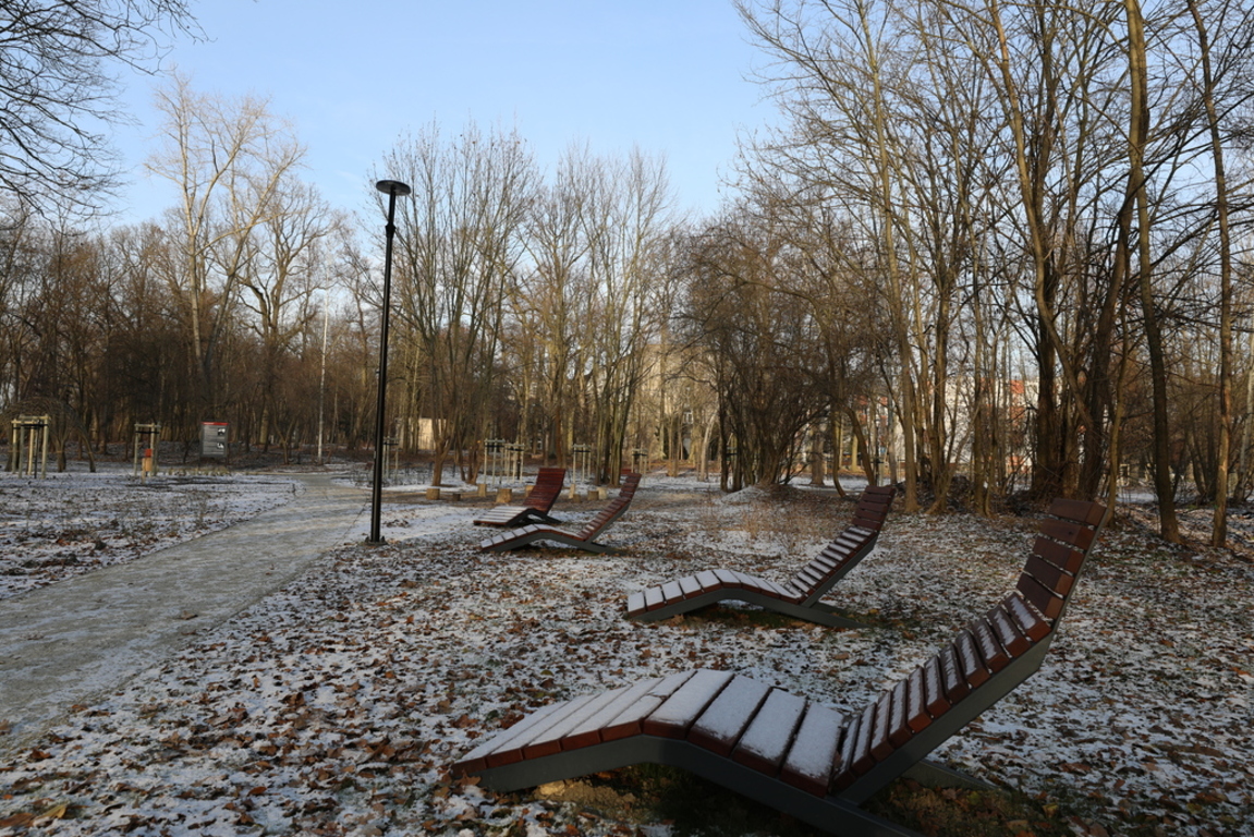 park przy szpitalu dziekanka gniezno - UM Gniezno