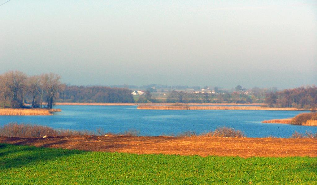 Jezioro Popielewskie - Wojtekskalski - Wikipedia/CC BY-SA 4.0