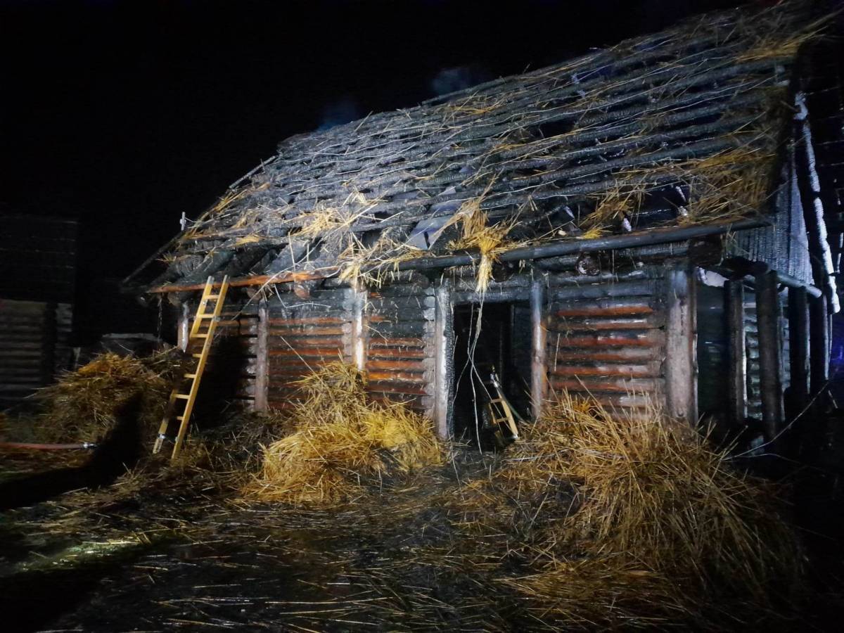 pożar rezerwat archeologiczny kalisz - KM PSP Kalisz