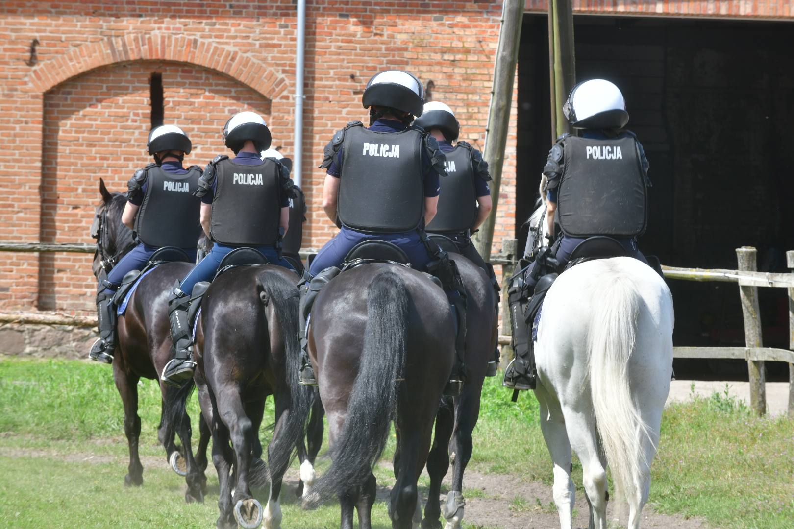 koniowóz vciężarówka do przewożenia koni konie policyjne policja konna policjanci konie - Wojtek Wardejn - Radio Poznań