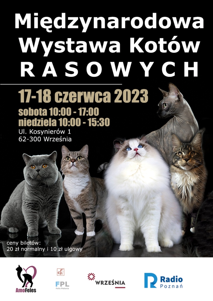 Międzynarodowa Wystawa Kotów Rasowych we Wrześni - Organizator