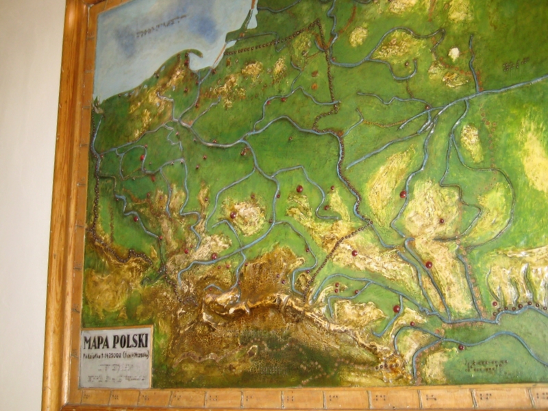 Aleksandra Włodarczyk