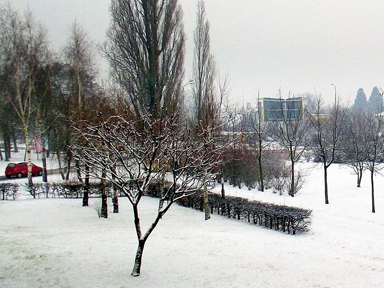 Zima na Piątkowie - 2011 - Jerzy