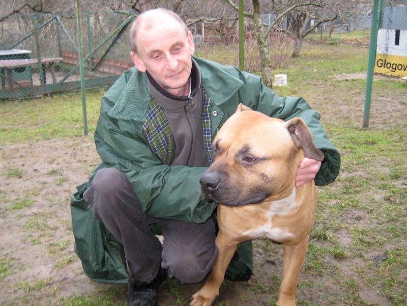 Sprawa państwa Jencz - Chyby - Jacek Butlewski