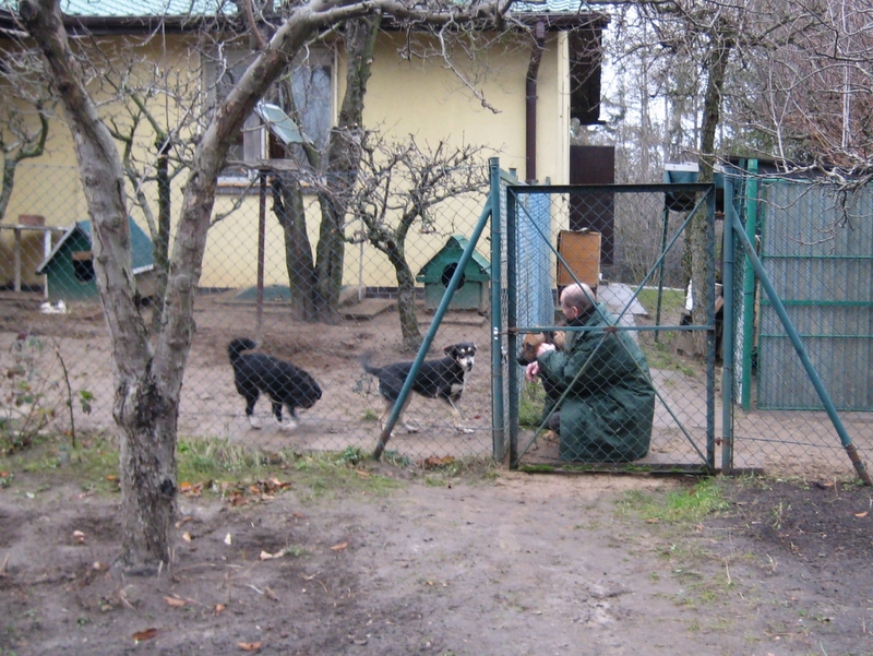 Sprawa państwa Jencz - Chyby - Jacek Butlewski