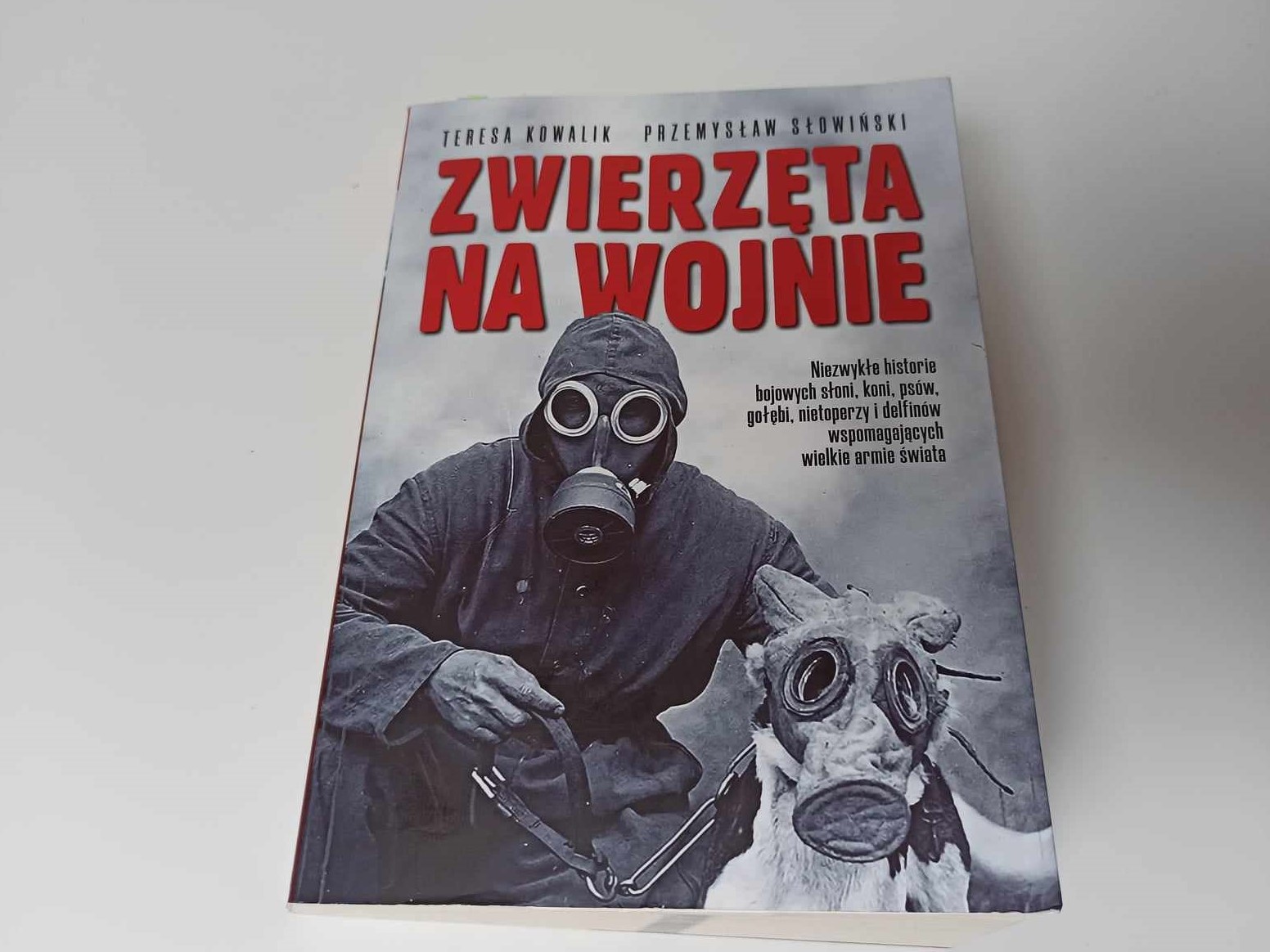 Zwierzęta na wojnie książka - Gracjan Jaworski - Radio Poznań