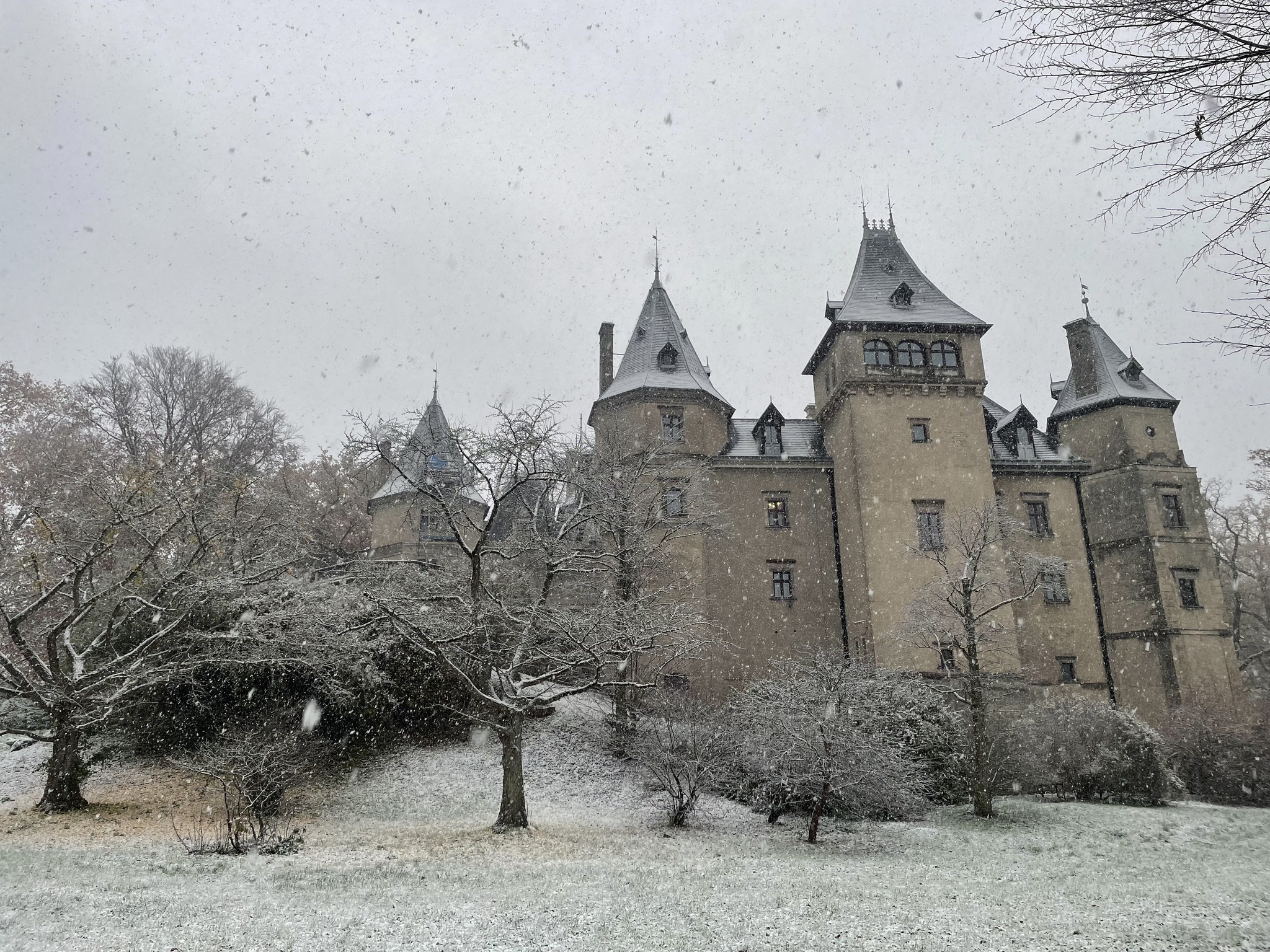 Muzeum Zamek w Gołuchowie - Muzeum Zamek w Gołuchowie