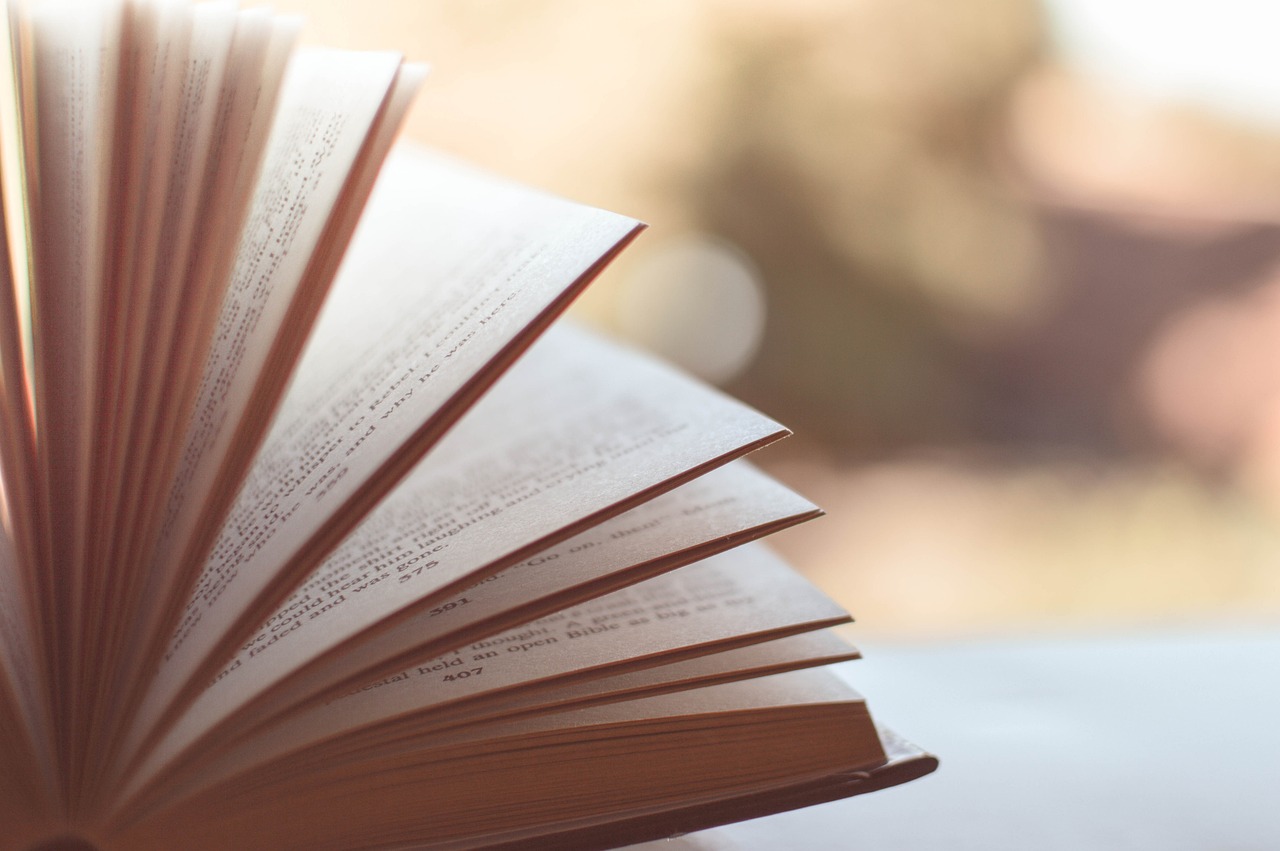 książka czytanie książek - Pixabay