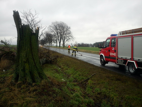Powalone drzewa na drodze - Pleszew - Straż Pożarna/Pleszew