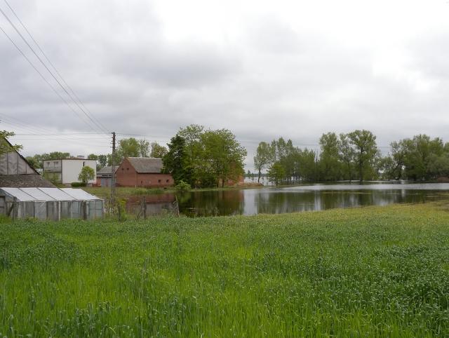 Powódź Golina - zalane łąki 20100601 - Archiuwm Radia Merkury