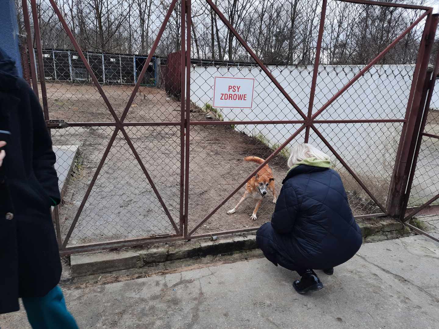 schronisko dla zwierząt gniezno - Rafał Muniak - Radio Poznań