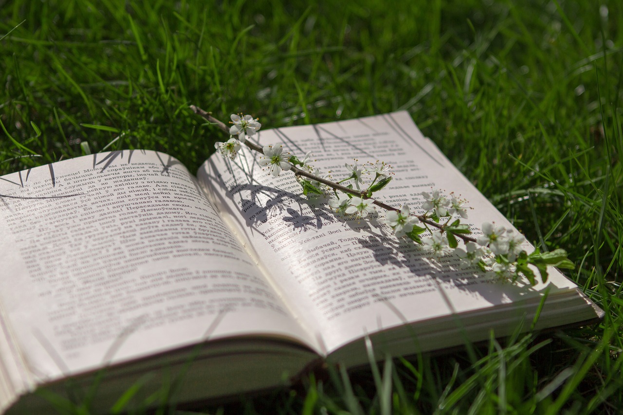 wiosna książka - Pixabay