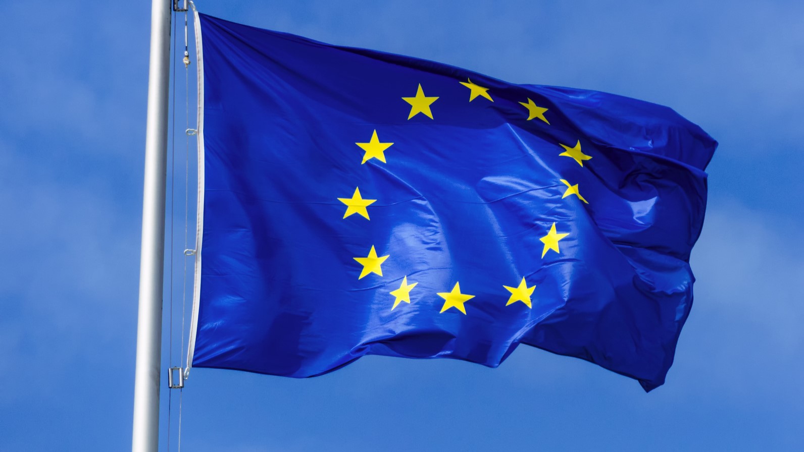 flaga unii europejskiej - Fotolia