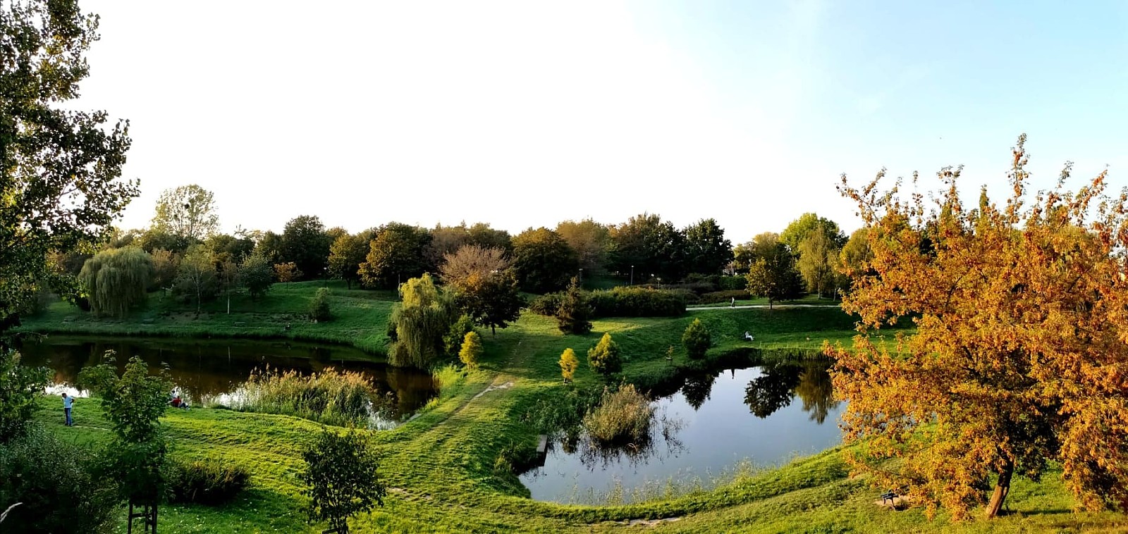 park przyjaźni - kalisz.pl