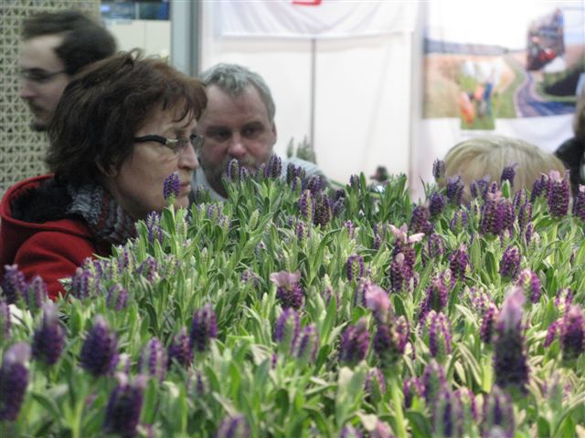 Wojciech Chmielewski