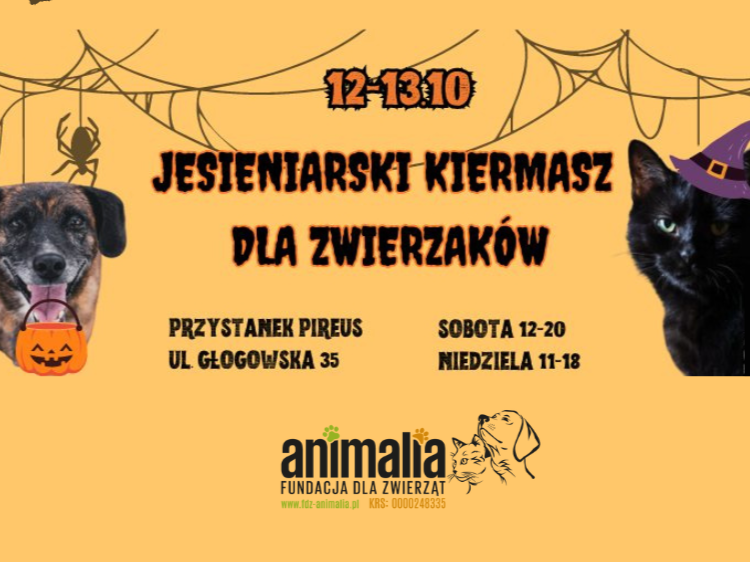 animalia kiermasz