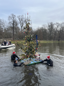 choinka  / Danuta Synkiewicz