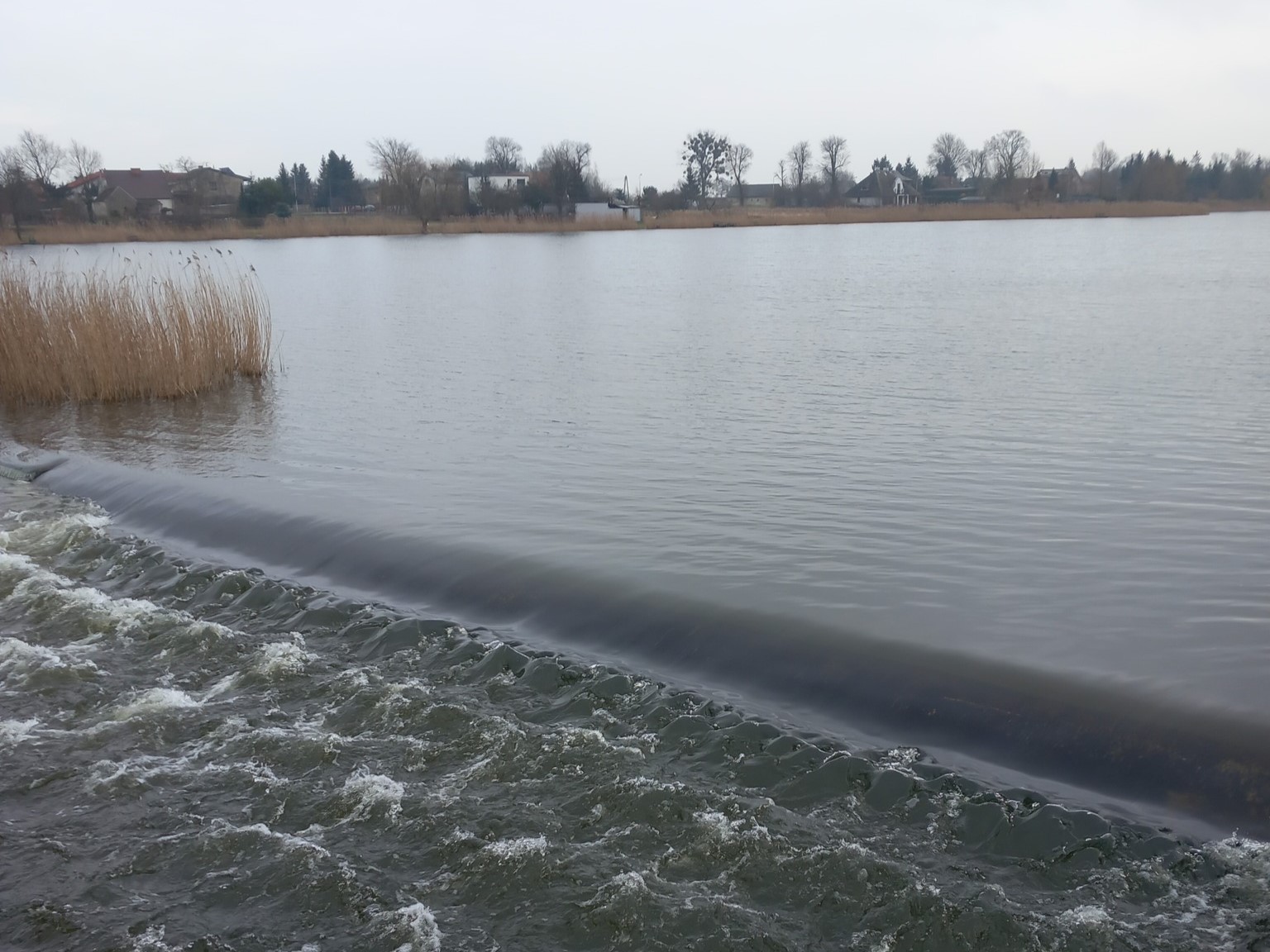 jezioro rogoźno - Stowarzyszenie Jezioro Rogozińskie 