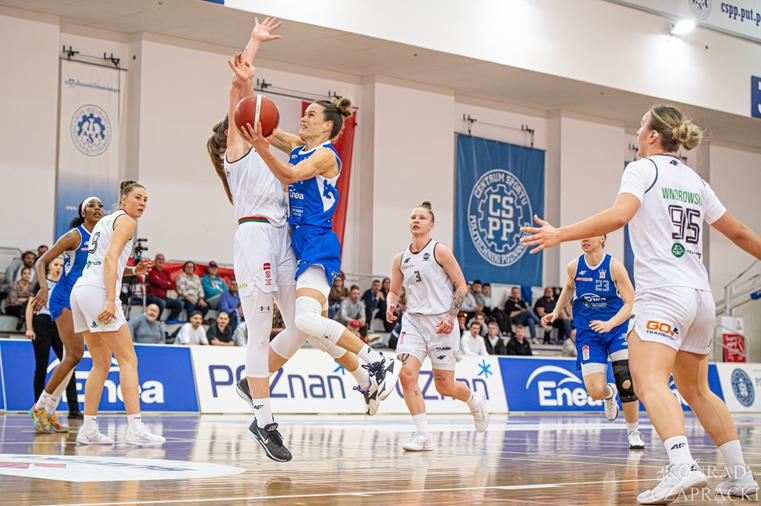 Enea AZS Politechnika Poznań - Enea AZS Politechnika Poznań