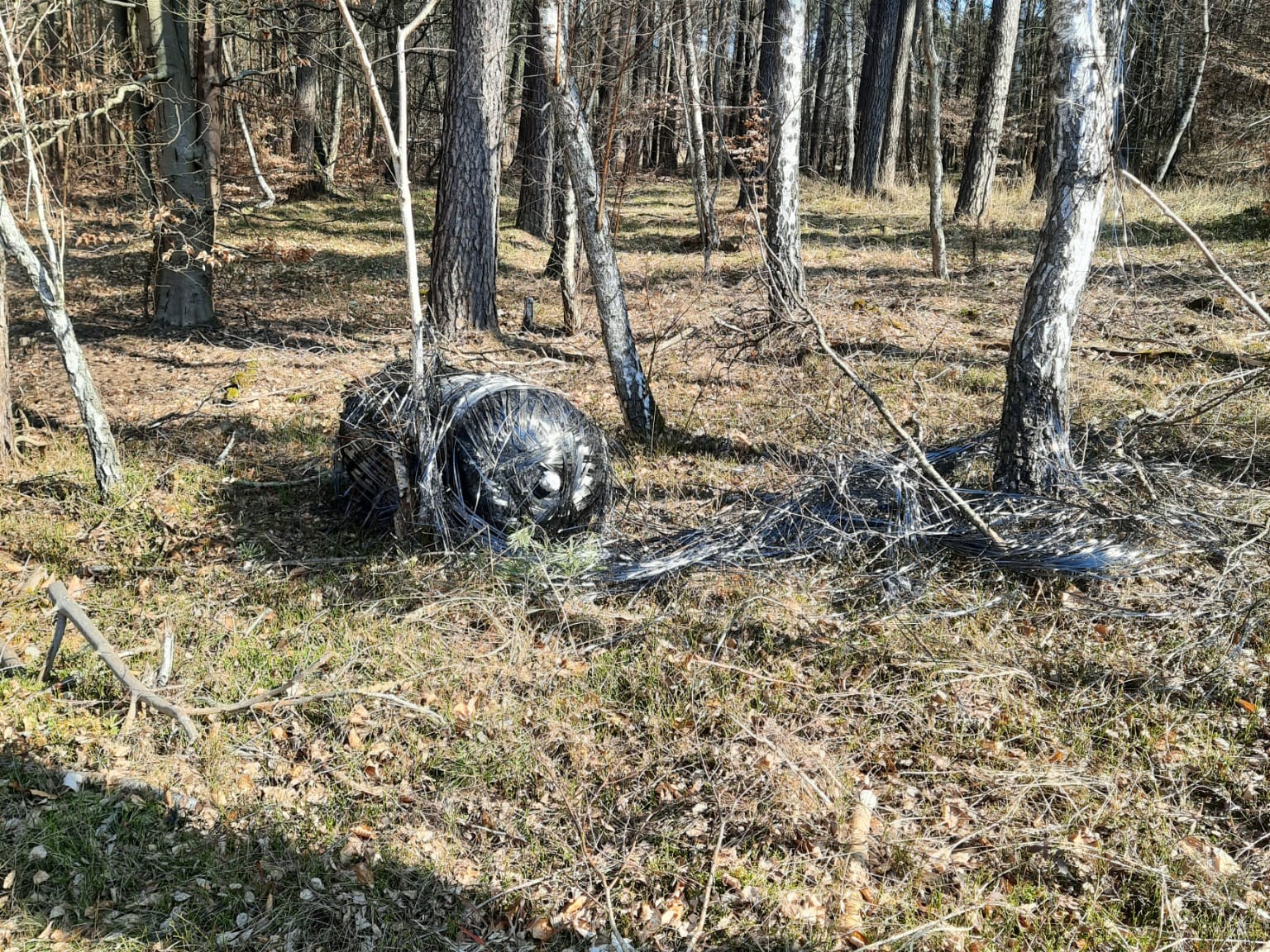 Falcon - Grzegorz Ługawiak - Radio Poznań