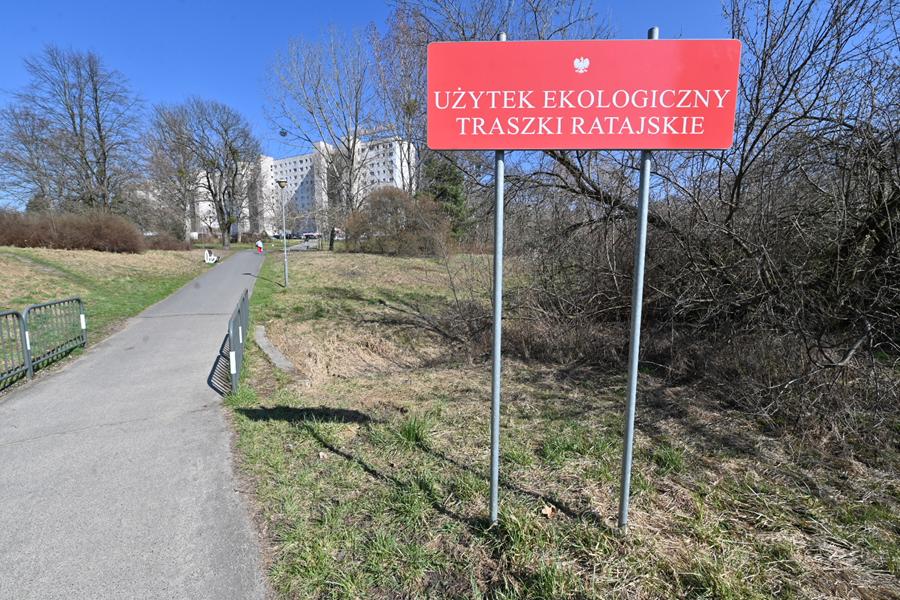 traszki ratajskie - Wojtek Wardejn - Radio Poznań