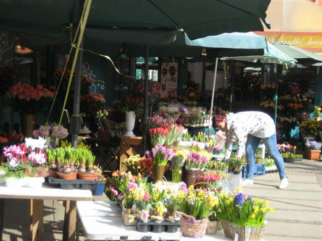 kwiaty rynek - Magdalena Konieczna