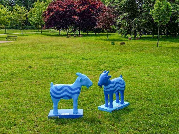 Aquanet piknik - Aquanet SA