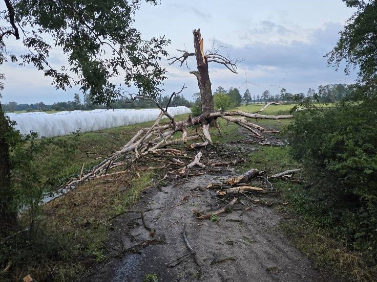 OSP Grąblewo