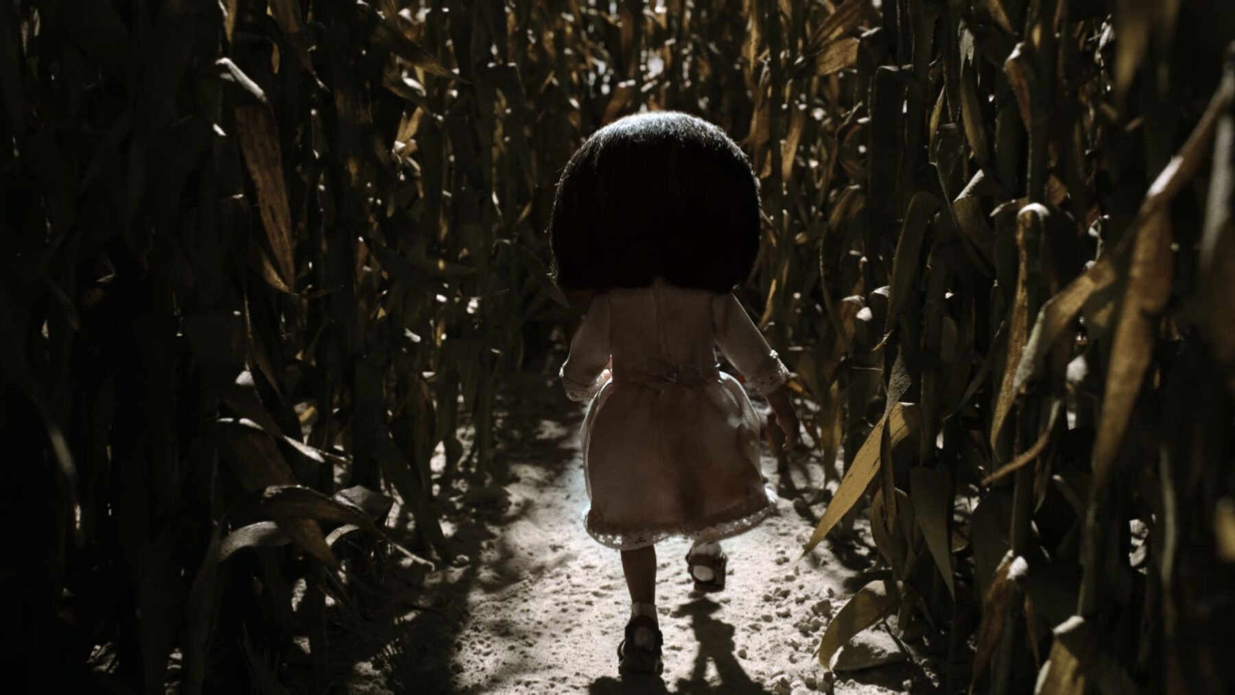 koszmarynki-1-1800x1013 - Organizator