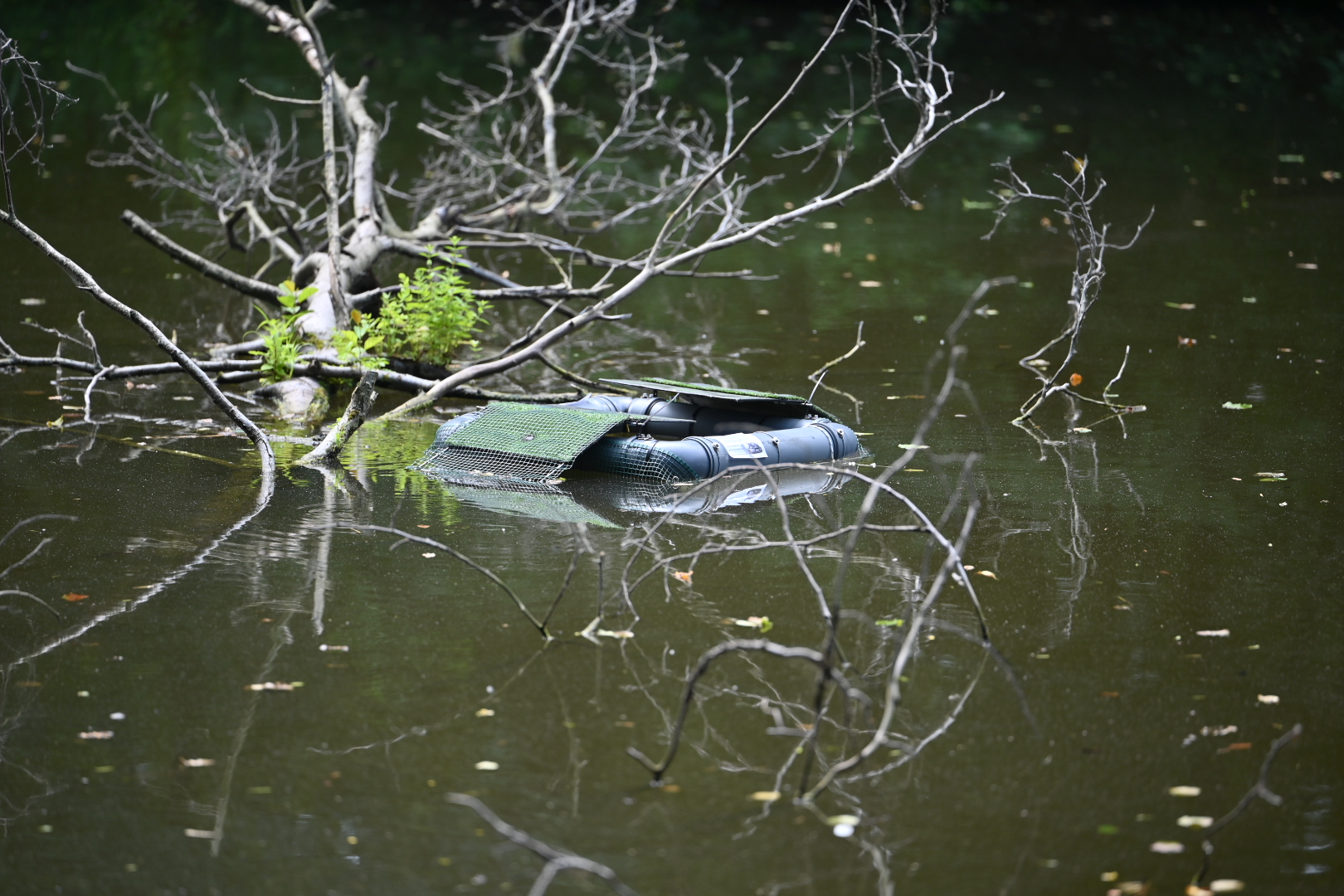 żółwie - Wojtek Wardejn - Radio Poznań
