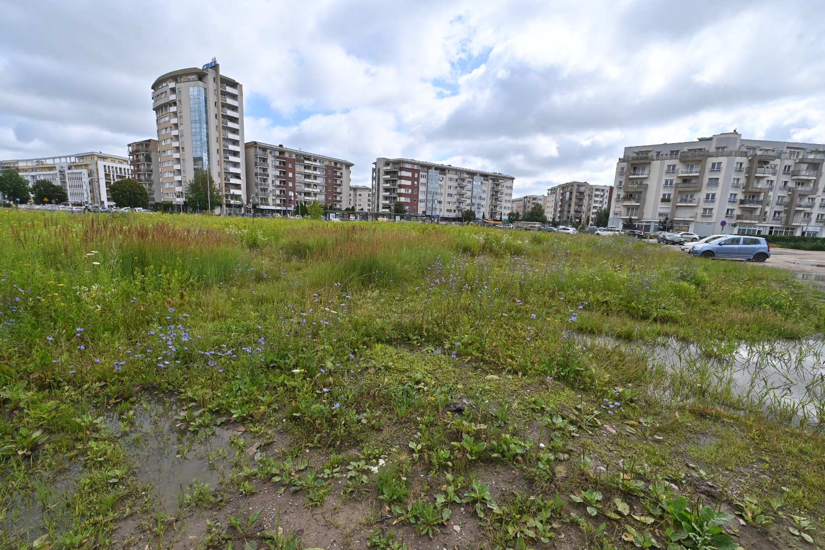 Skwer łacina - Wojtek Wardejn - Radio Poznań