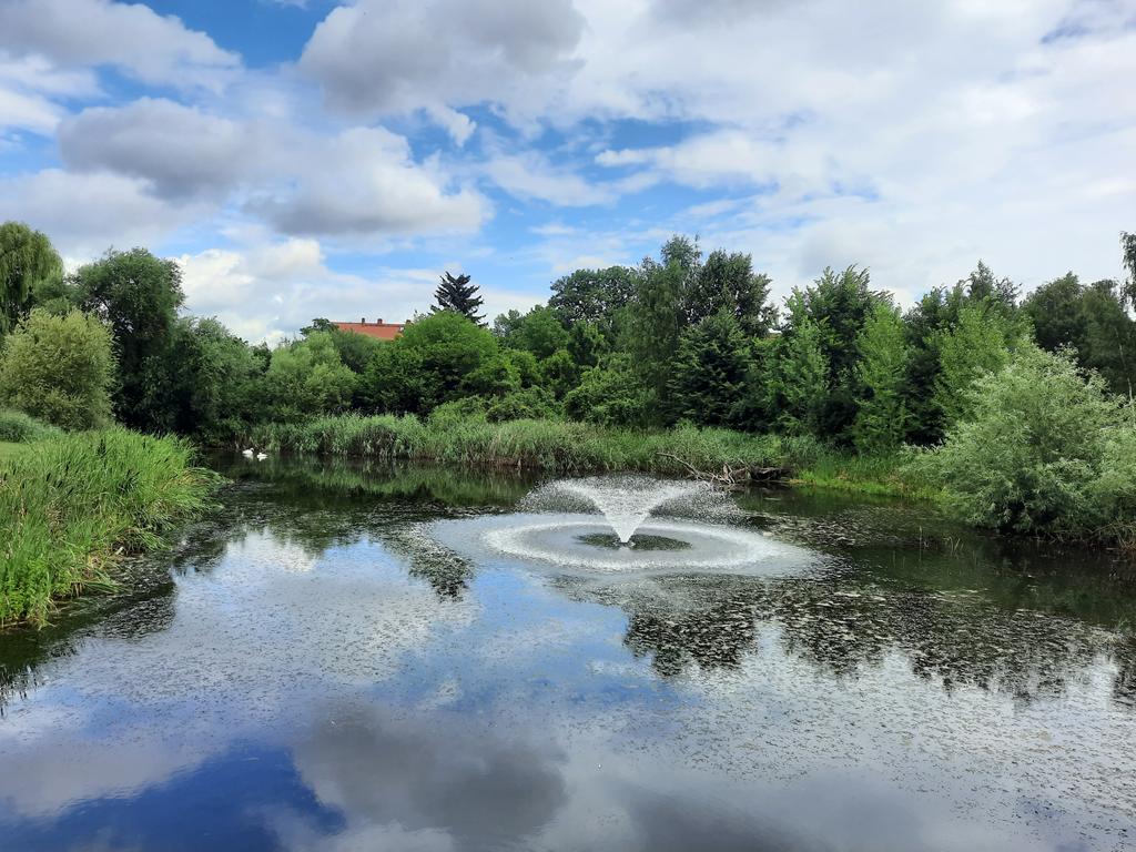 Park Koło - Michalina Maciaszek - Radio Poznań