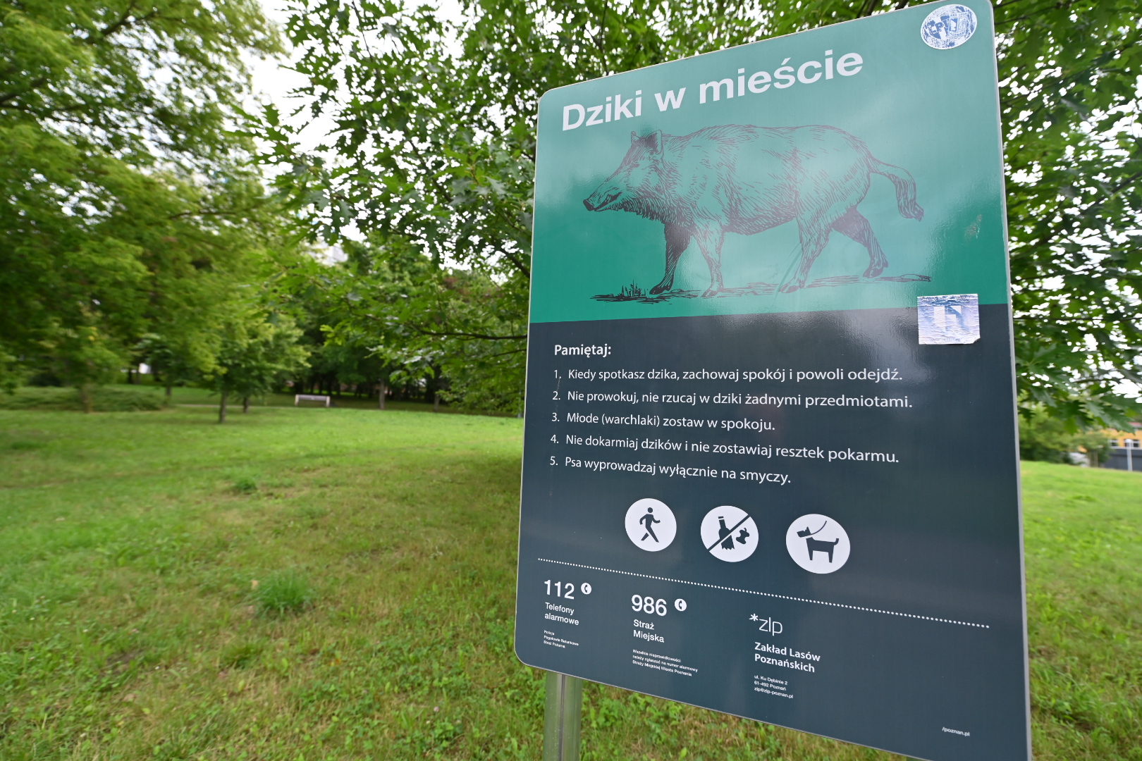 dzik - Wojtek Wardejn - Radio Poznań