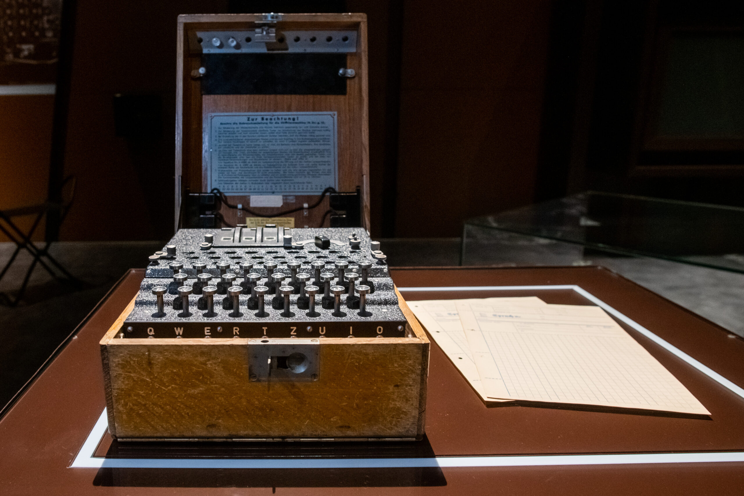 LGD_2696-scaled - Organizator