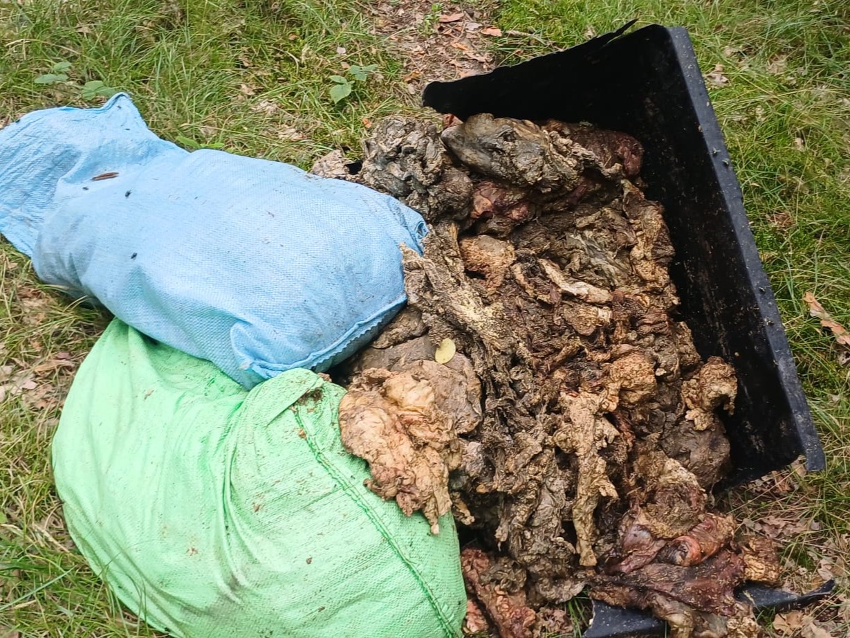 odpady wędliny piaski - Nadleśnictwo Piaski