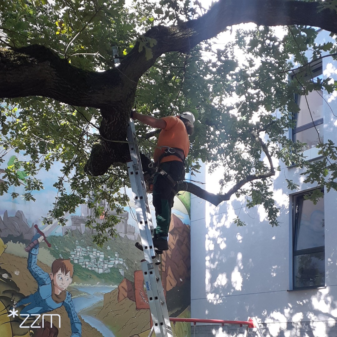 Zarząd Zieleni Miejskiej w Poznaniu