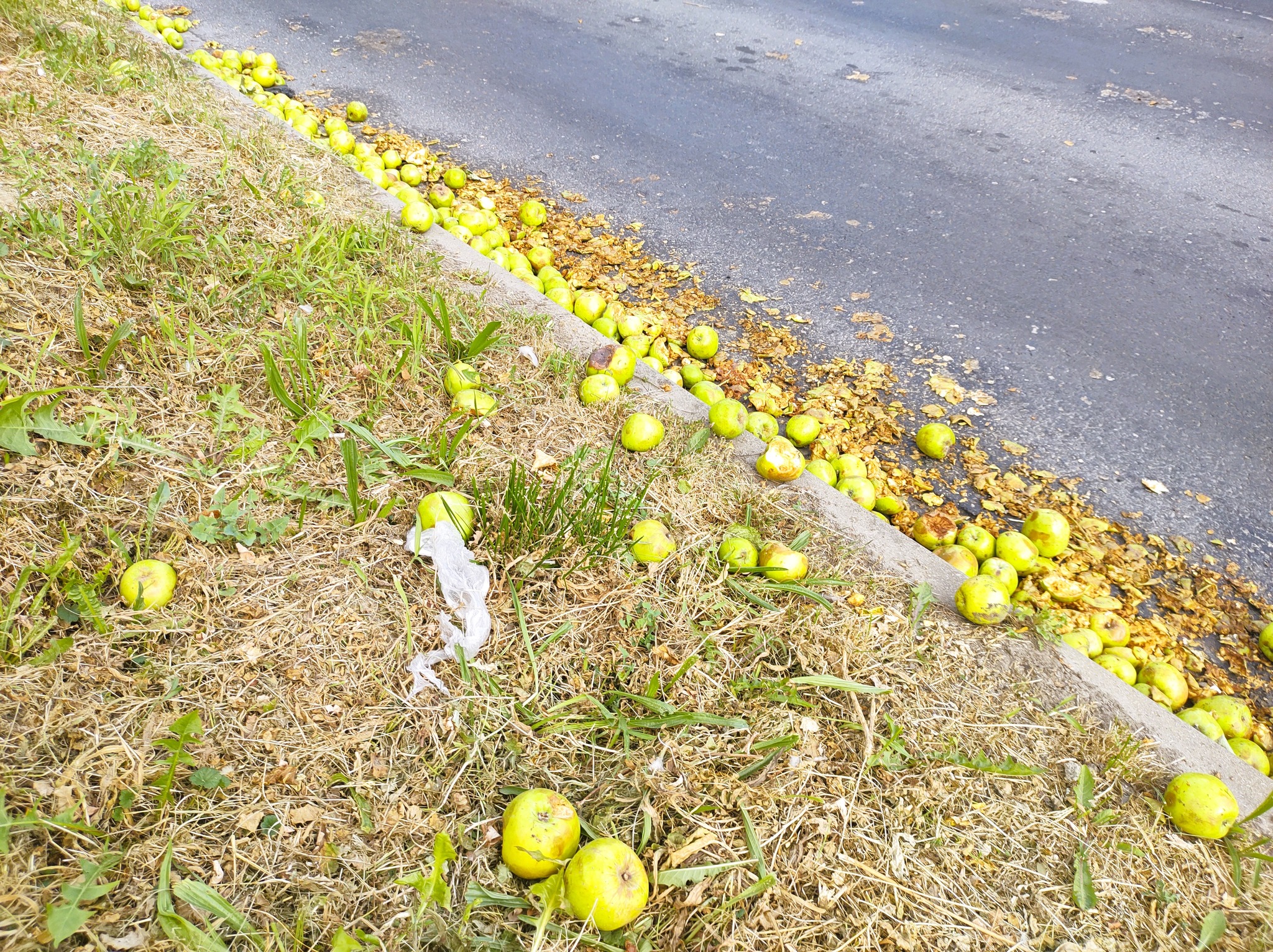 Komenda Powiatowa Policji w Śremie 