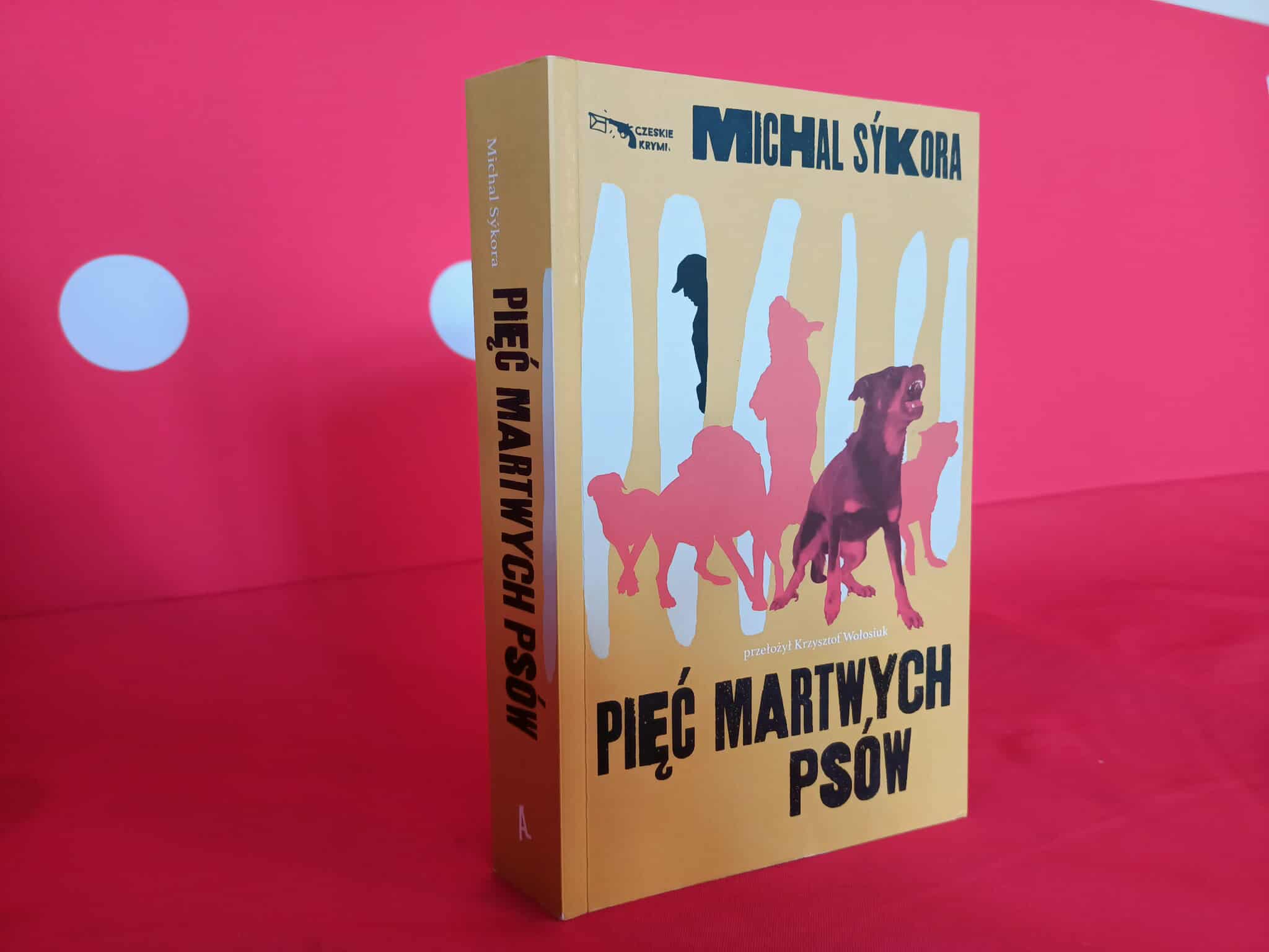 książka - Joanna Divina