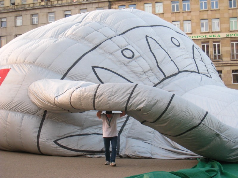 Agnieszka Maciejewska